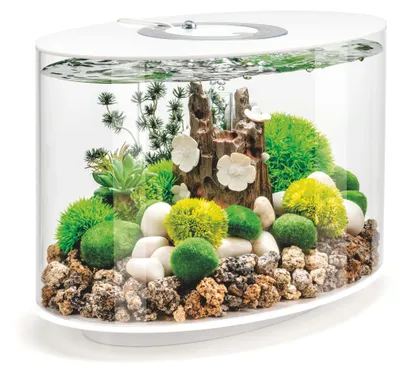 Zdjęcie produktu dla Aquarium biOrb LOOP 15 MCR biały