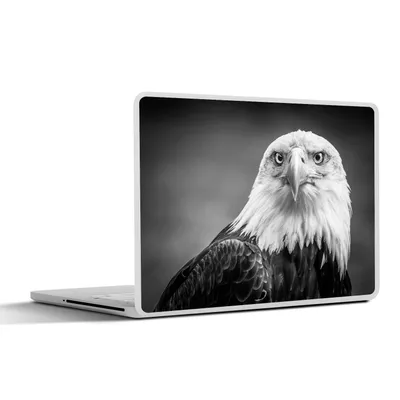 Produktbild von MuchoWow® Laptop Aufkleber Sticker Cover Adler - Raubvogel - Schwarz - Weiß - Tiere 31x22.5 cm - Laptop-Deko