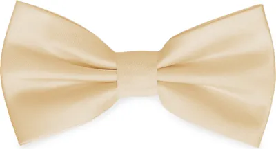 Produktbild von Ladeheid Elegante Herren Fliege - Hochwertig Matt Verstellbar BMM (12cm x 6cm)