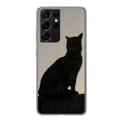 Produktbild von MuchoWow® Handyhülle Schutzhülle Hülle für Samsung Galaxy S21 Ultra Katze - Dunkelheit - Zaun Silikon Softcase Handy Hülle - Mobiltelefon