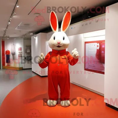 Produktbild von Maskottchenkostüm REDBROKOLY Roter Hase mit Langarm-T-Shirt und Tragetaschen