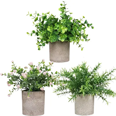 Produktbild von 3 Stück Mini Kunstpflanzen im Topf zur Dekoration