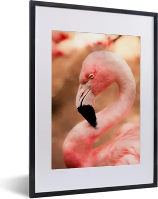 Produktbild von MuchoWow® MuchoWow® Gerahmtes Poster Porträt eines rosa Flamingos 30x40 cm - Poster mit zchwarzem Bilderrahmen - Wandposter Schlafzimmer