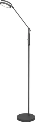 A modern LED floor lamp with a circular light head and a slim stand, shown against a white background.