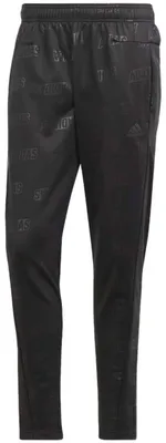 Produktbild von Adidas Hosen Bl Pnt1 Q4, IJ6437, Größe: 170