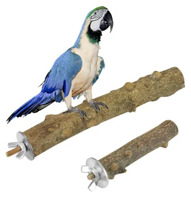 Immagine prodotto di Due posatoi per uccelli, in legno naturale, da 20 cm e 10 cm, adatti per pappagalli e altri uccelli