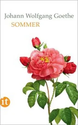Obrázok produktu pre Sommer
