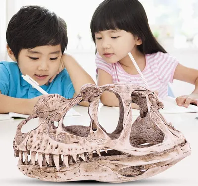 Two children are looking at a dinosaur skull model on a table.