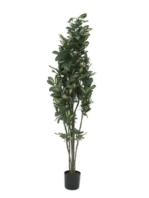 Produktbild von EUROPALMS Schefflera, künstlich, 120cm (82600157)
