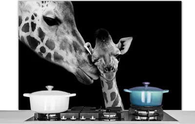 Produktbild von KitchenYeah®  Spritzschutz Küche - Küchenrückwand - Wandschutz für Herd und Spüle - Tiere - Schwarz - Weiß - Giraffe - Porträt 120x80 - Alu-Dibond (Alternative zum Spritzschutz aus Glas) - Hitzebestän