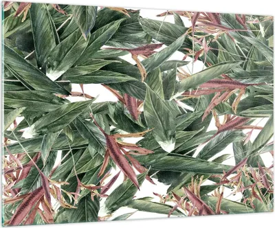 Produktbild von Bilder auf glas - Pflanze Blatt Blume - 100x70cm - Glasbilder - Wandbilder - Kunstdruck - zum Aufhängen bereit - Wanddekoration aus Glas - Glas Bilder - Wandbild auf Glas - Einteilig - GAA100x70-3844