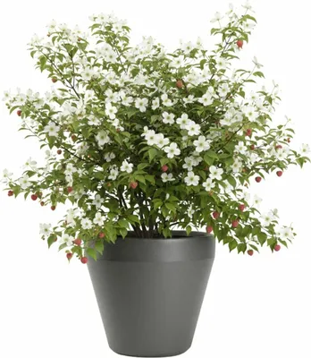Image de HowHomely | Pot de fleurs - gris - L46xH41 cm - Bac à fleurs - Jardinière - Pratique