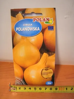 Zdjęcie produktu dla nasiona 5g CEBULA POLANOWSKA PN3523