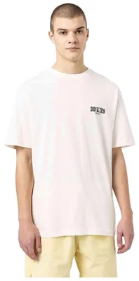 Zdjęcie produktu dla Koszulka Dickies DICKIES DK0A4XO4 - Camiseta dla Męskie