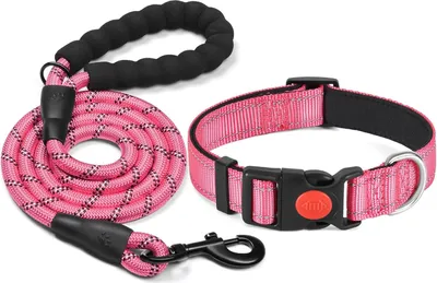 Productafbeelding van Famanu hondenhalsband met neopreenvoering - Verstelbaar en ademend voor comfort en veiligheid