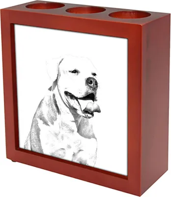 Produktbild von American Bulldog, Amerikanische Bulldogge - Stifthalter mit Hund, Schreibtischorganizer mit Aufdruck, personalisierte Schreibtischdekoration der Marke Art-Dog