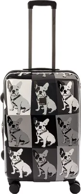 Produktbild von Saxoline Spinner 4 Rollen TSA Gr. M 67 cm Bulldog
