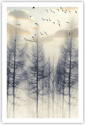 Produktbild von Poster - Poster ohne Rahmen - Bäume Vögel Himmel - 61x91,5 cm - Wand Bild - Wanddeko - Wandbilder - Kunstposter - Wandposter - Bilder - Kunstdruck - Wanddekoration - Wandbild - P2XPA61x91-4546