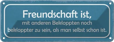 Produktbild von vianmo Blechschild 10x27 cm Freundschaft noch bekloppter Familie Freunde