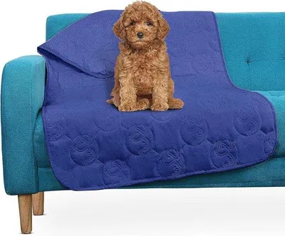 Image de Couverture pour chien bleu marine, imperméable et lavable, pour canapé, avec tapis de protection antidérapant pour meubles, 125 x 75 cm