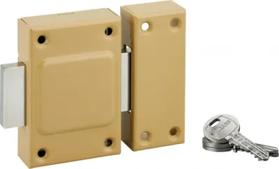 Image de Verrou sans bouton Etendard pour porte de cave, cylindre 40mm, acier, 3 clés - THIRARD