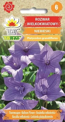 Zdjęcie produktu dla Rozwar wielokwiatowy niebieski Nasiona kwiatów - 632 Toraf