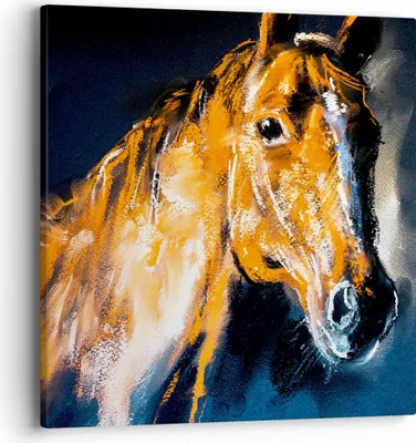 Produktbild von Bild auf Leinwand - Leinwandbild - Pferd Natur Tier - 40x40cm - Wand Bild - Wanddeko - Wandbilder - Leinwanddruck - Bilder - Kunstdruck - Wanddekoration - Leinwand bilder - Wandkunst - AC40x40-3425