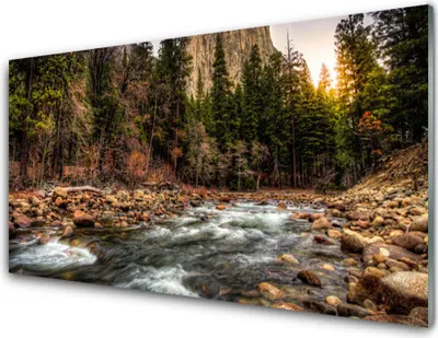 Produktbild von Acrylglasbilder 100x50 Wandbild Druck Wald See Natur