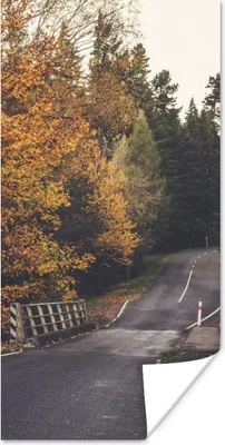 Produktbild von MuchoWow® Poster Bäume - Straße - Herbst 80x160 cm - Kinderzimmer