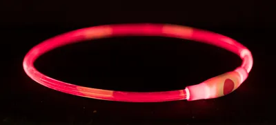 Produktbild von TRIXIE Flash Leuchtring USB - rot - 65 cm/ø 8 mm