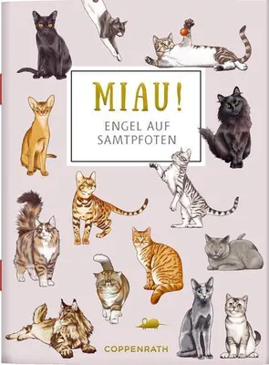 Immagine prodotto di MIAU! - Engel auf Samtpfoten