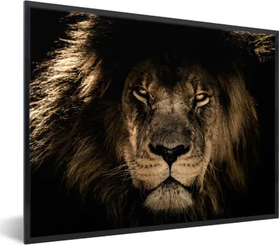 Produktbild von MuchoWow® Gerahmtes Poster Löwe - Tiere - Schwarz - Porträt 80x60 cm - Poster mit Schwarzem Bilderrahmen Wandposter Rahmen Foto Bilder - Schwarzem - Mit Gestell