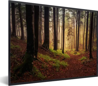 Produktbild von MuchoWow® Gerahmtes Poster Bäume - Natur - Wald 80x60 cm - Poster mit Schwarzem Bilderrahmen Wandposter Rahmen Foto Bilder - Schwarzem - Mit Gestell