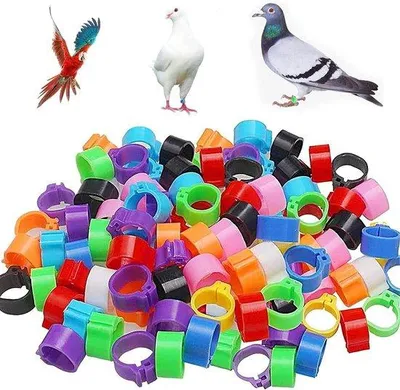 Obrázek produktu pro Barevné kroužky z ptačího křídla, 8 mm, 10 barev, pro malé voliéry