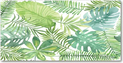 Produktbild von Tulup® Glas-Bild - 100x50 -Wandkunst - Wandbild hinter gehärtetem Sicherheitsglas  - Blumen & Pflanzen - Tropische Blätter - Grün