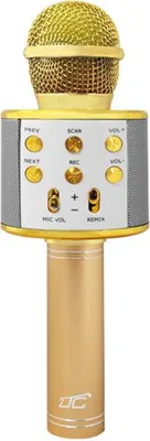 Obrázek produktu pro Bezdrátový mikrofon Bluetooth Karaoke s reproduktorem LTC MIC100 Gold Funkce nahrávání