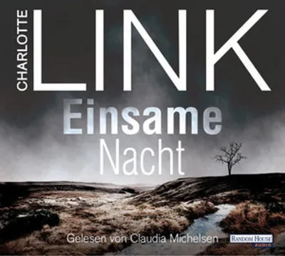 Produktbild von Einsame Nacht