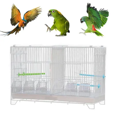 Immagine prodotto di Gabbia per uccelli, specifica per pappagalli - Adatta a pappagalli di piccole e medie dimensioni - 60x26x39,5 cm - Acciaio inossidabile - Griglia divisoria - Vaschetta estraibile - Bianco
