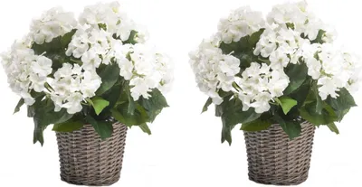 Produktbild von 2er Set künstliche Hortensien im Korb weiß H. 45cm D. 20cm Emerald Topfpflanze