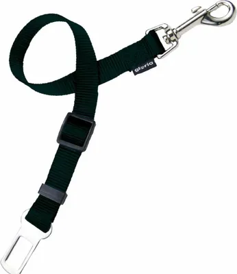Immagine prodotto di CINTURA GLORIA -- 20mm*45cm Nero