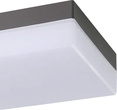 Obrázek produktu pro EGLO SONELLA, Venkovní světlo na zeď/strop, Antracit, Plast, IP44, I, Bílá