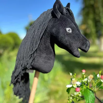 Image de Mini Hobby Horse Noir pour enfants dès 3 ans - Taille A5