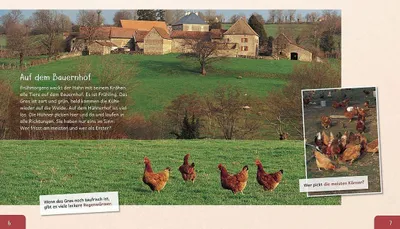 Zdjęcie produktu dla Meine große Tierbibliothek: Das Huhn