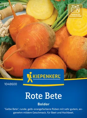 Produktbild von Kiepenkerl Rote Betesamen Boldor Beta vulgaris 6-8 lfd. Meter