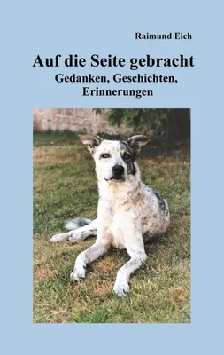 Produktbild von Auf die Seite gebracht