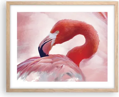 Produktbild von Gerahmtes Poster - Rahmen in heller Eiche - Flamingo Vogel Porträt - 50x40 cm - Wand Bild - Wanddeko - Wandbilder - Kunstposter - Wandposter - Bilderrahmen - Bilder - Kunstdruck - P2NAA50x40-4984
