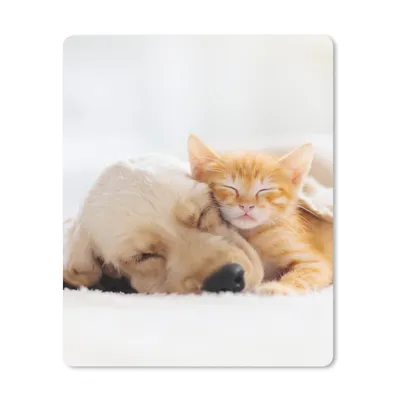 Produktbild von MuchoWow® Mauspad Mousepad Tiere - Hund - Kätzchen - Rot 30x40 cm - Mousepads - Maus Mat - Pad - Mausunterlage - Mausmatten