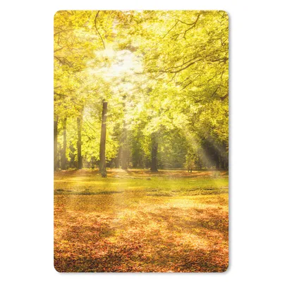 Produktbild von MuchoWow® Mauspad Mousepad Baum - Natur - Sonne - Landschaft - Wald 40x60 cm - Mousepads - Maus Mat - Pad - Mausunterlage - Schreibtisch Accesoire