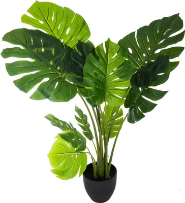 Produktbild von Philodendron monstera künstlich h110cm  - Atmosphera créateur d'intérieur