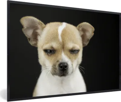 Produktbild von MuchoWow® Gerahmtes Poster Hund - Haustiere - Porträt 30x20 cm - Poster mit Schwarzem Bilderrahmen Wandposter Rahmen Foto Bilder - Kunstdruck - Bild-Poster